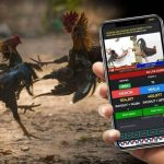 MCW Online Sabong: Top Online Sabong App in the Philippines