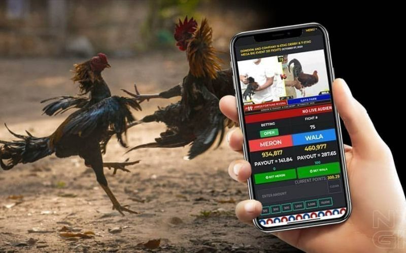 MCW Online Sabong: Top Online Sabong App in the Philippines